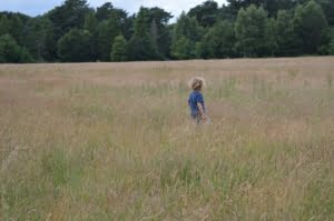 de ontwikkeling van je peuter : de eerste 3 maanden