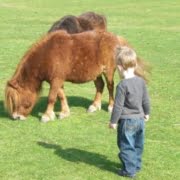 kinderboerderij