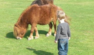 kinderboerderij