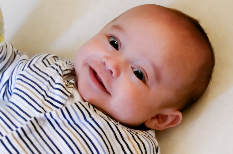 babybrein babybrein