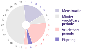 cyclus, vruchtbaarheid