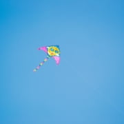 ontwikkeling kleuter in vogelvlucht
