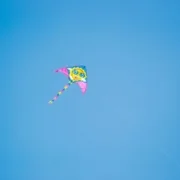 ontwikkeling kleuter in vogelvlucht