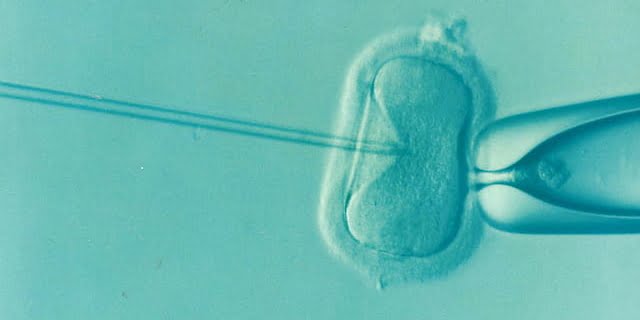 iui