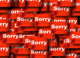 sorry zeggen