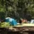 tent
