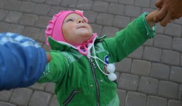 samen een lijn trekken