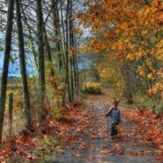 De (levens)lessen van de herfst