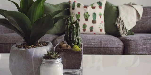 planten