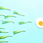 sperma weetje