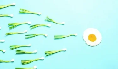 sperma weetje