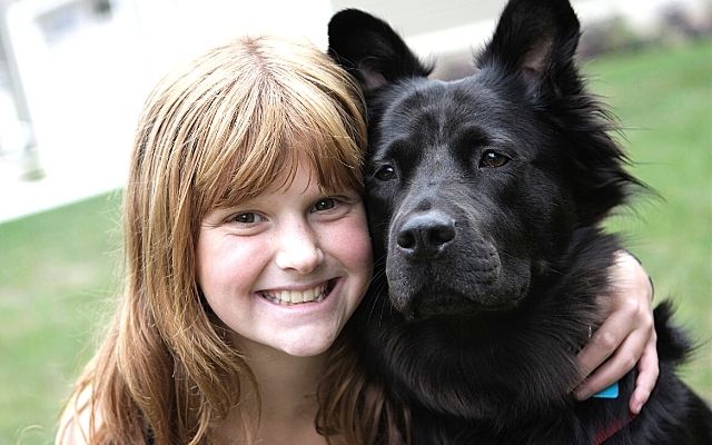 homoseksueel Groot universum ademen Wandelen met de hond - kinderen en hond