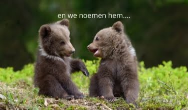 babynaam uit de natuur