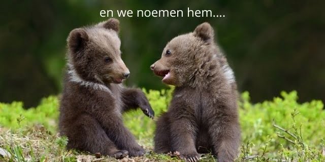 babynaam uit de natuur