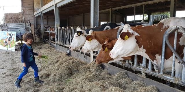 open boerderijdagen