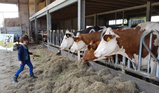 open boerderijdagen