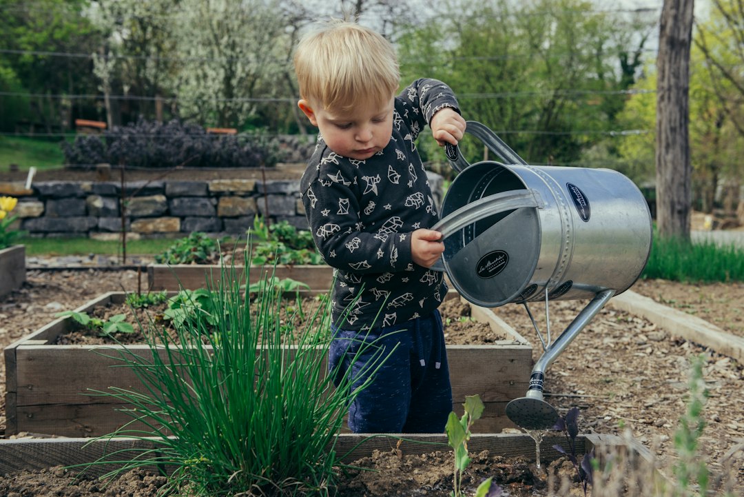 Speelgoed en tuinplezier voor het hele gezin